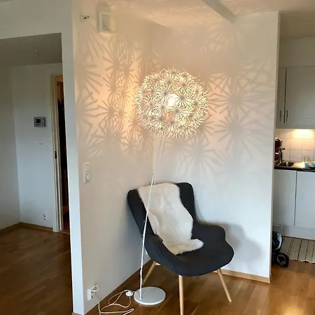Sjonaer Med Gangavstand Til I Larvik